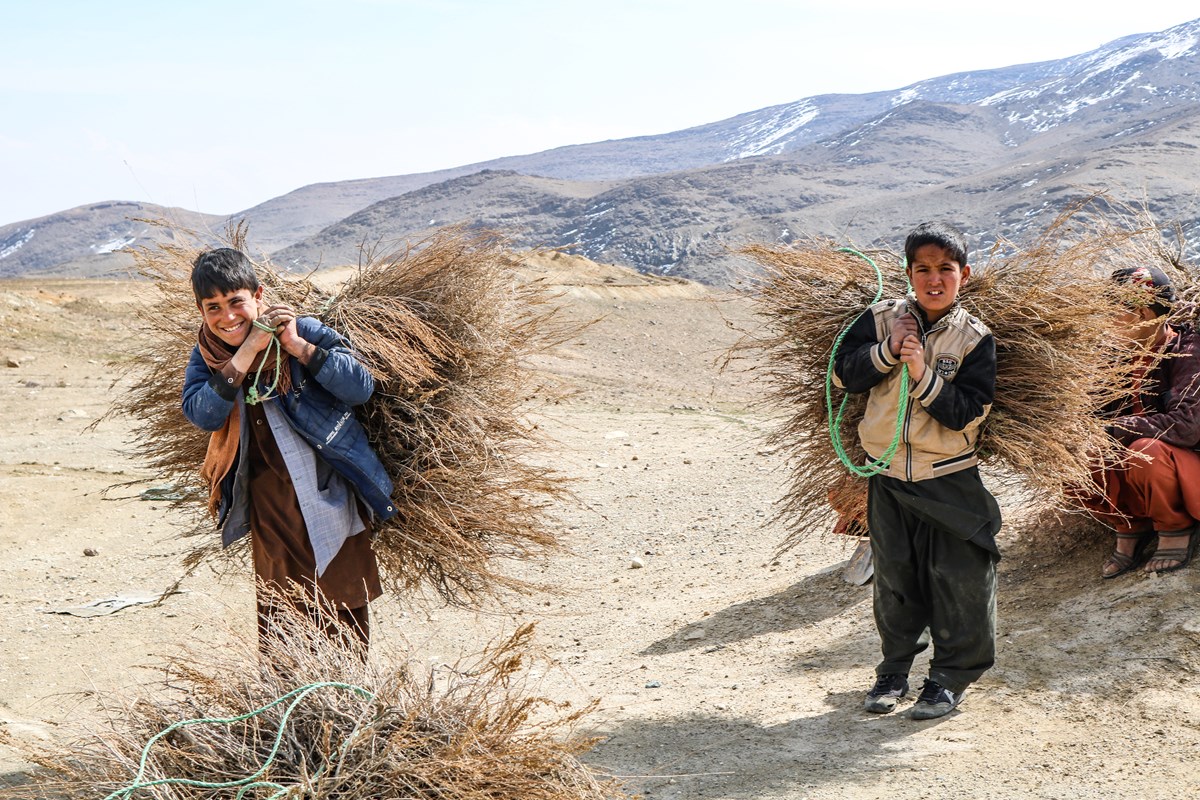 From conflict to recovery
